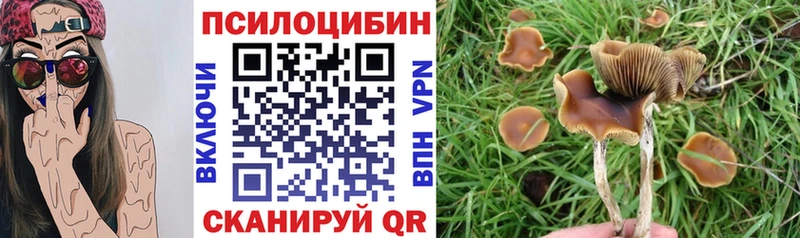 дарнет шоп  мега рабочий сайт  Галлюциногенные грибы Psilocybe  Ленинградская 